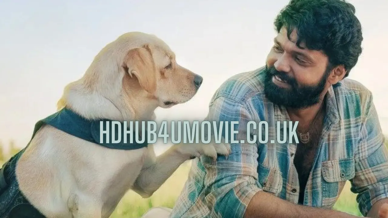 777 Charlie Box Office Collection Worldwide