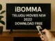Ibomma Telugu Movies New 2022