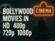 download bollywood movies in hd mkv 480p 720p 1080p