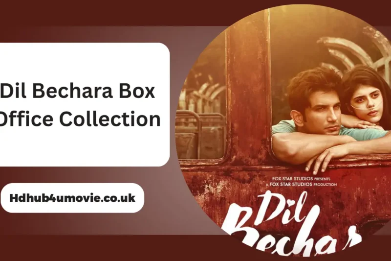 Dil Bechara Box Office Collection: Day-Wise Earnings, Worldwide Gross, OTT Release, Cast Net Worth, and Verdict