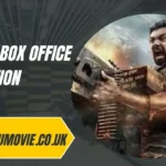 martin box office collection