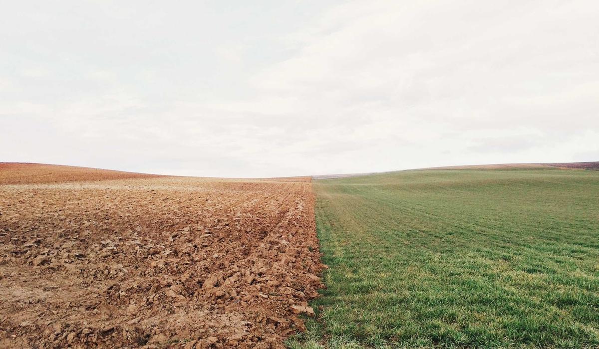 A practical guide to planning a seasonal update